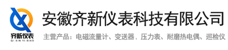 安徽齊新儀表科技有限公司